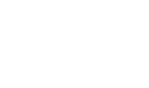 Lopes Niterói